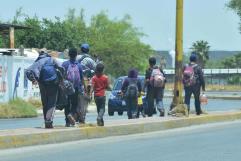 Baja afluencia de menores migrantes; Repatriados por PN