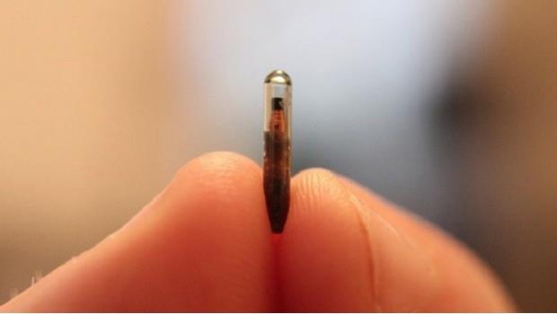Epicenter, la compañía que ha comenzado a implantar microchips en sus empleados y miembros